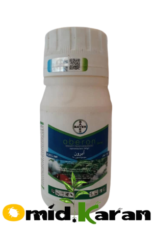 ابرون