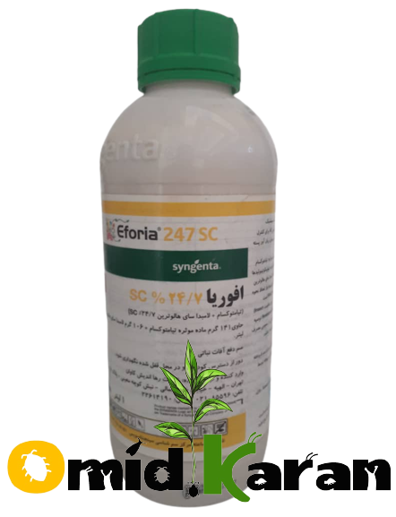 افوریا
