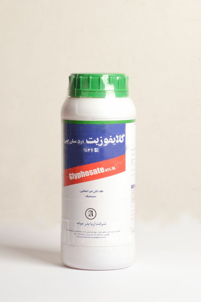 رانداب چینی